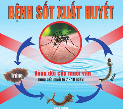 Sốt XH